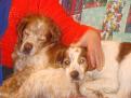 Clicca sull'immagine per ingrandirla. 

Nome:   gangester  e niro a natale.jpg 
Visite: 991 
Dimensione: 59.6 KB 
ID: 2136343