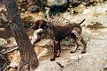 Clicca sull'immagine per ingrandirla. 

Nome:   erik a 12 anni.jpg 
Visite: 1364 
Dimensione: 62.6 KB 
ID: 2136378