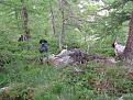Clicca sull'immagine per ingrandirla. 

Nome:   Immagine 003.jpg 
Visite: 421 
Dimensione: 58.1 KB 
ID: 2136742