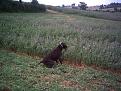 Clicca sull'immagine per ingrandirla. 

Nome:   630.jpg 
Visite: 334 
Dimensione: 59.9 KB 
ID: 2137977