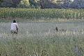 Clicca sull'immagine per ingrandirla. 

Nome:   052_Bracco Pittaro.jpg 
Visite: 191 
Dimensione: 63.3 KB 
ID: 2139117