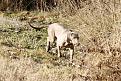 Clicca sull'immagine per ingrandirla. 

Nome:   025_Mila_0502TAN.jpg 
Visite: 207 
Dimensione: 74.9 KB 
ID: 2142735