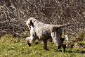 Clicca sull'immagine per ingrandirla. 

Nome:   056_Giasone_0502TAN.jpg 
Visite: 207 
Dimensione: 93.9 KB 
ID: 2142743