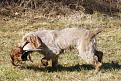 Clicca sull'immagine per ingrandirla. 

Nome:   064_Giasone_0502TAN.jpg 
Visite: 184 
Dimensione: 72.4 KB 
ID: 2142744