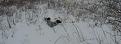 Clicca sull'immagine per ingrandirla. 

Nome:   br 1.jpg 
Visite: 373 
Dimensione: 47.1 KB 
ID: 2143108