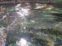 Clicca sull'immagine per ingrandirla. 

Nome:   Immagine 062.jpg 
Visite: 434 
Dimensione: 60.0 KB 
ID: 2143131