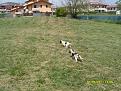 Clicca sull'immagine per ingrandirla. 

Nome:   Chiara 011.jpg 
Visite: 283 
Dimensione: 56.0 KB 
ID: 2144172