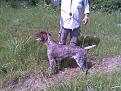 Clicca sull'immagine per ingrandirla. 

Nome:   Immag025.jpg 
Visite: 576 
Dimensione: 62.2 KB 
ID: 2144182