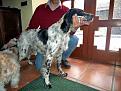 Clicca sull'immagine per ingrandirla. 

Nome:   floraweb.jpg 
Visite: 547 
Dimensione: 43.1 KB 
ID: 2144494