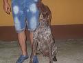 Clicca sull'immagine per ingrandirla. 

Nome:   emma 2.jpg 
Visite: 341 
Dimensione: 54.0 KB 
ID: 2147602