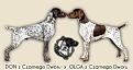 Clicca sull'immagine per ingrandirla. 

Nome:   32ac27cddbbc3ece325e0e7090d13354.jpg 
Visite: 538 
Dimensione: 48.2 KB 
ID: 2148689