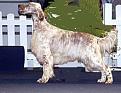 Clicca sull'immagine per ingrandirla. 

Nome:   bob3.jpg 
Visite: 322 
Dimensione: 17.2 KB 
ID: 2151783