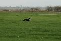 Clicca sull'immagine per ingrandirla. 

Nome:   SERBIA 2012 027.jpg 
Visite: 327 
Dimensione: 50.1 KB 
ID: 2152816