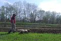 Clicca sull'immagine per ingrandirla. 

Nome:   MACHO DELLO ZEOLO.jpg 
Visite: 424 
Dimensione: 57.2 KB 
ID: 2152876
