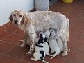Clicca sull'immagine per ingrandirla.&nbsp;

Nome:   samsung s2 1 189.jpg&nbsp;
Visite: 1435&nbsp;
Dimensione: 59.3 KB&nbsp;
ID: 2155243