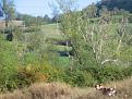 Clicca sull'immagine per ingrandirla. 

Nome:   canossa___15_settembre_2012_009.jpg 
Visite: 362 
Dimensione: 57.5 KB 
ID: 2156855