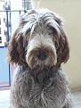 Clicca sull'immagine per ingrandirla. 

Nome:   RockY.jpg 
Visite: 408 
Dimensione: 38.4 KB 
ID: 2157024