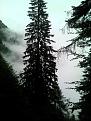 Clicca sull'immagine per ingrandirla. 

Nome:   005 fra la nebbia e le nuvole... web.jpg 
Visite: 287 
Dimensione: 54.5 KB 
ID: 2157129