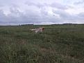 Clicca sull'immagine per ingrandirla. 

Nome:   IGOR..jpg 
Visite: 319 
Dimensione: 59.4 KB 
ID: 2157181