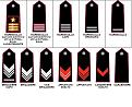 Clicca sull'immagine per ingrandirla.&nbsp;

Nome:   gradi carabinieri.jpg&nbsp;
Visite: 400&nbsp;
Dimensione: 47.5 KB&nbsp;
ID: 2157399