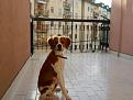 Clicca sull'immagine per ingrandirla. 

Nome:   Listener.jpg 
Visite: 411 
Dimensione: 57.8 KB 
ID: 2157469