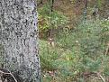 Clicca sull'immagine per ingrandirla.&nbsp;

Nome:   DSCN1840.jpg&nbsp;
Visite: 329&nbsp;
Dimensione: 56.9 KB&nbsp;
ID: 2157518