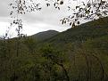 Clicca sull'immagine per ingrandirla.&nbsp;

Nome:   DSCN1848.jpg&nbsp;
Visite: 319&nbsp;
Dimensione: 59.0 KB&nbsp;
ID: 2157521