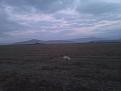 Clicca sull'immagine per ingrandirla. 

Nome:   foto 107.jpg 
Visite: 1505 
Dimensione: 41.2 KB 
ID: 2158498
