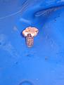 Clicca sull'immagine per ingrandirla. 

Nome:   Resizer6.jpg 
Visite: 396 
Dimensione: 35.8 KB 
ID: 2158516