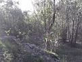 Clicca sull'immagine per ingrandirla.&nbsp;

Nome:   foto 209.jpg&nbsp;
Visite: 271&nbsp;
Dimensione: 58.8 KB&nbsp;
ID: 2158864