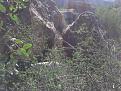 Clicca sull'immagine per ingrandirla.&nbsp;

Nome:   foto 238.jpg&nbsp;
Visite: 231&nbsp;
Dimensione: 58.8 KB&nbsp;
ID: 2158871