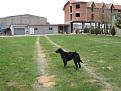 Clicca sull'immagine per ingrandirla. 

Nome:   051.jpg 
Visite: 324 
Dimensione: 60.5 KB 
ID: 2159345