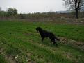 Clicca sull'immagine per ingrandirla. 

Nome:   065.jpg 
Visite: 316 
Dimensione: 60.0 KB 
ID: 2159346