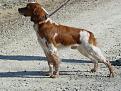 Clicca sull'immagine per ingrandirla. 

Nome:   ARTU'.jpg 
Visite: 409 
Dimensione: 62.9 KB 
ID: 2160361