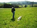 Clicca sull'immagine per ingrandirla. 

Nome:   100_1959.jpg 
Visite: 342 
Dimensione: 59.2 KB 
ID: 2161252