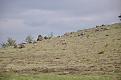 Clicca sull'immagine per ingrandirla. 

Nome:   7.jpg 
Visite: 347 
Dimensione: 52.3 KB 
ID: 2162527