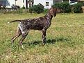 Clicca sull'immagine per ingrandirla. 

Nome:   20130730_112854 zara.jpg 
Visite: 298 
Dimensione: 59.2 KB 
ID: 2163746