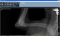 Clicca sull'immagine per ingrandirla. 

Nome:   Immagine1.jpg 
Visite: 532 
Dimensione: 38.2 KB 
ID: 2164113