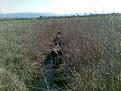 Clicca sull'immagine per ingrandirla. 

Nome:   17032012.jpg 
Visite: 344 
Dimensione: 60.7 KB 
ID: 2164371