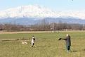 Clicca sull'immagine per ingrandirla. 

Nome:   002.jpg 
Visite: 477 
Dimensione: 58.5 KB 
ID: 2167196