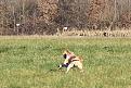 Clicca sull'immagine per ingrandirla. 

Nome:   011.jpg 
Visite: 492 
Dimensione: 64.3 KB 
ID: 2167205