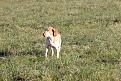 Clicca sull'immagine per ingrandirla. 

Nome:   015.jpg 
Visite: 484 
Dimensione: 61.9 KB 
ID: 2167209