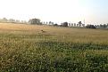 Clicca sull'immagine per ingrandirla. 

Nome:   image.jpg 
Visite: 298 
Dimensione: 60.2 KB 
ID: 2171406