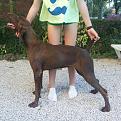 Clicca sull'immagine per ingrandirla. 

Nome:   Kelly.jpg 
Visite: 372 
Dimensione: 61.7 KB 
ID: 2171468