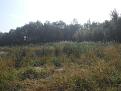 Clicca sull'immagine per ingrandirla. 

Nome:   DSCN4197.jpg 
Visite: 2118 
Dimensione: 56.3 KB 
ID: 2171753