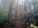 Clicca sull'immagine per ingrandirla.&nbsp;

Nome:   2014-11-08 11.20.23.jpg&nbsp;
Visite: 500&nbsp;
Dimensione: 61.7 KB&nbsp;
ID: 2172067