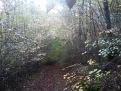 Clicca sull'immagine per ingrandirla.&nbsp;

Nome:   2014-11-08 11.20.43.jpg&nbsp;
Visite: 499&nbsp;
Dimensione: 62.5 KB&nbsp;
ID: 2172068