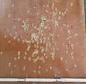 Clicca sull'immagine per ingrandirla. 

Nome:   20150416_183606.jpg 
Visite: 326 
Dimensione: 48.5 KB 
ID: 2174896