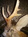 Clicca sull'immagine per ingrandirla. 

Nome:   20150820_215624.jpg 
Visite: 396 
Dimensione: 53.2 KB 
ID: 2176051
