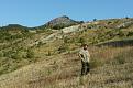 Clicca sull'immagine per ingrandirla. 

Nome:   ALL.jpg 
Visite: 357 
Dimensione: 60.2 KB 
ID: 2176064